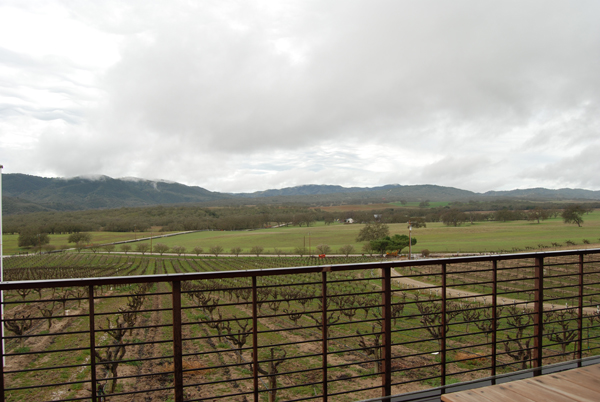 modern winery view